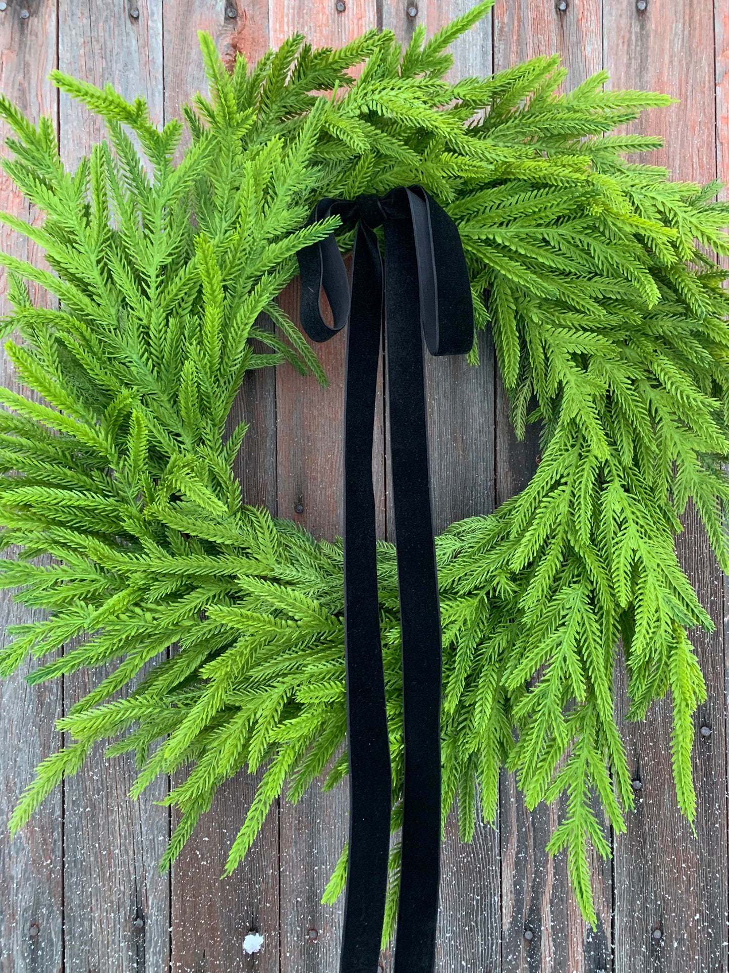Simple Norfolk Pine Winter Wreath
