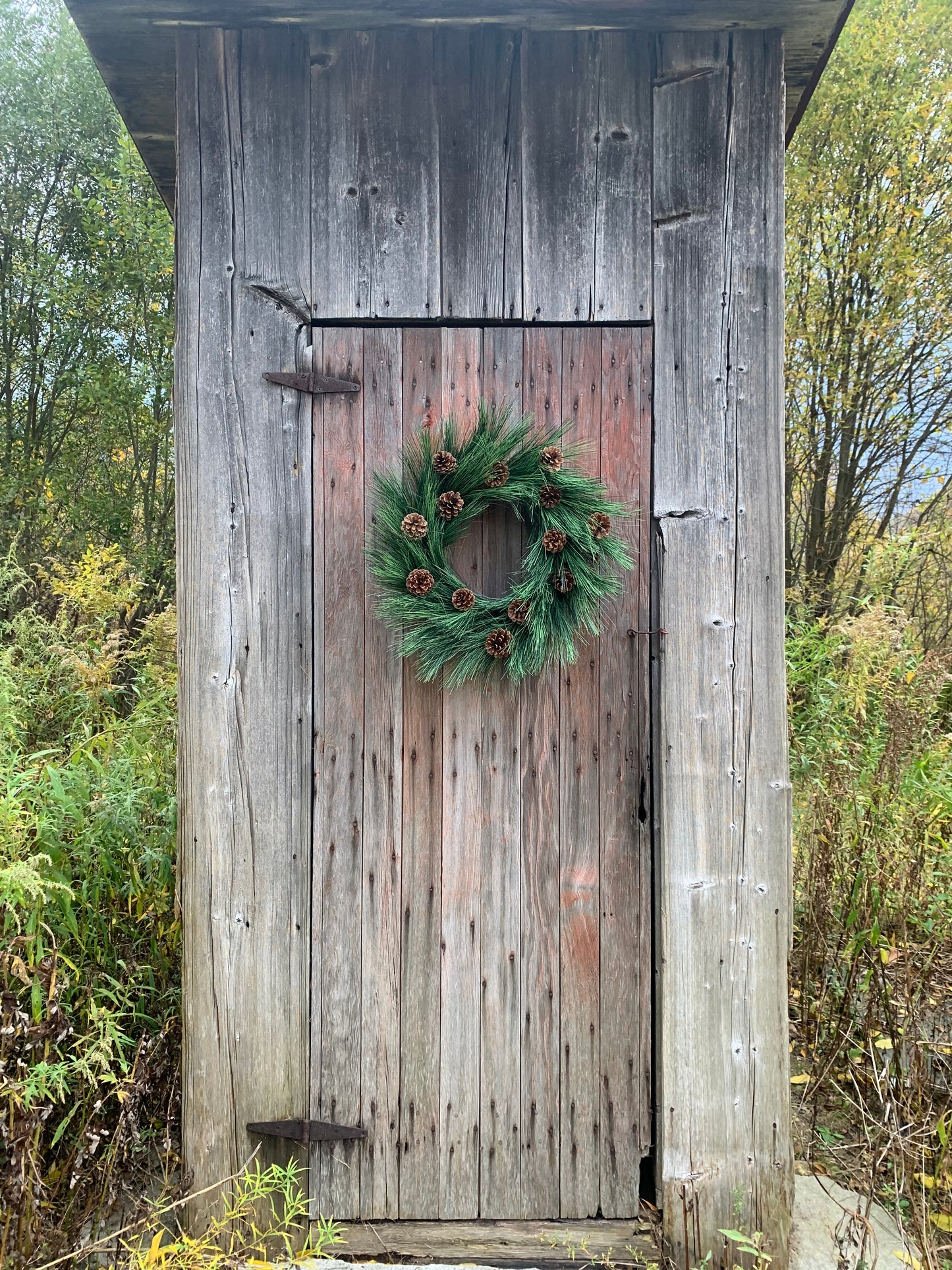 Rustic Long Needle Pine with Natural Pinecones