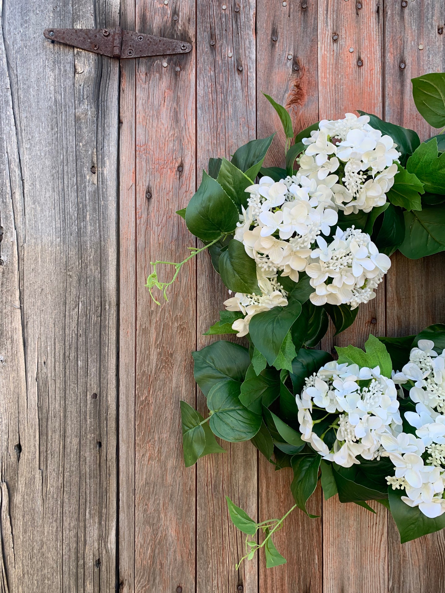 Classic White Hydrangea Wreath