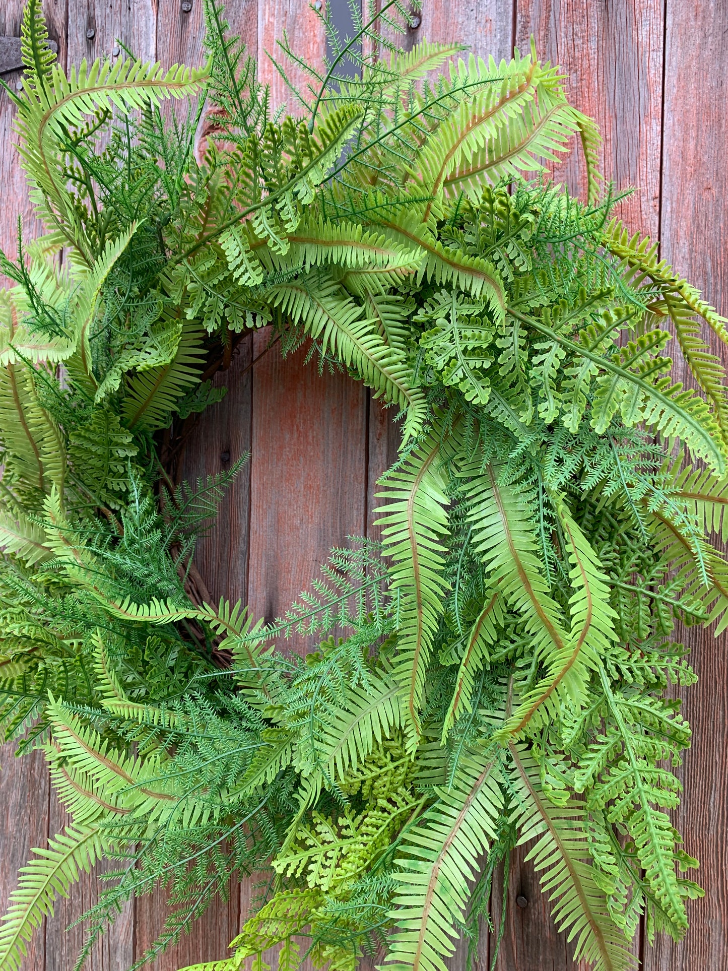 Mixed Fern Wreath
