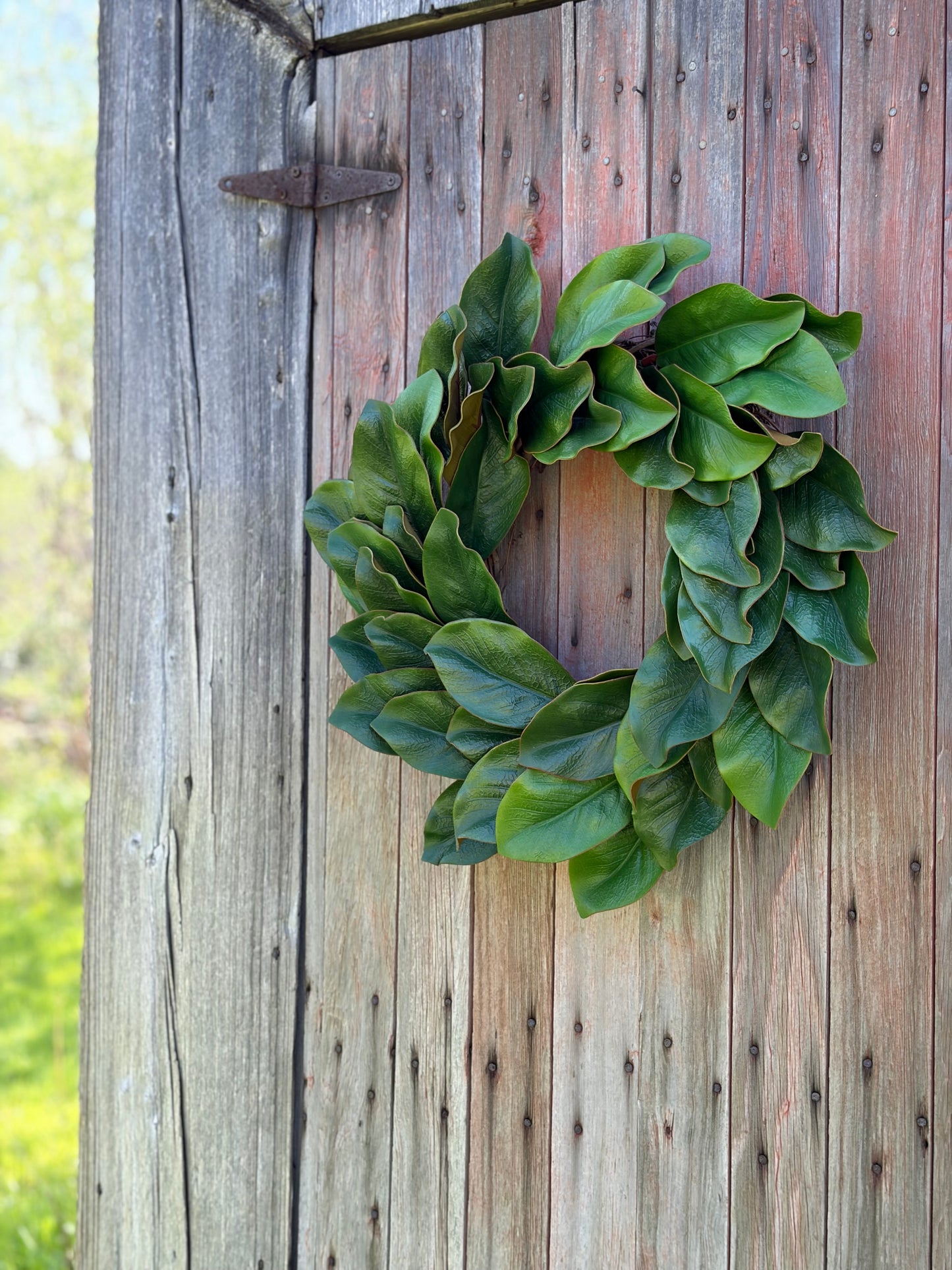 Southern Magnolia