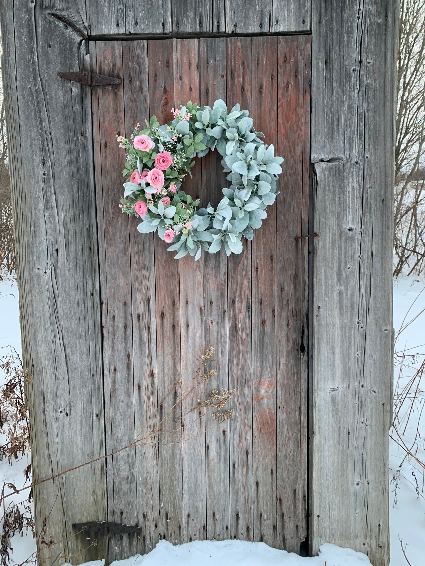 Blush Ranunculus and Lambs Ear Wreath