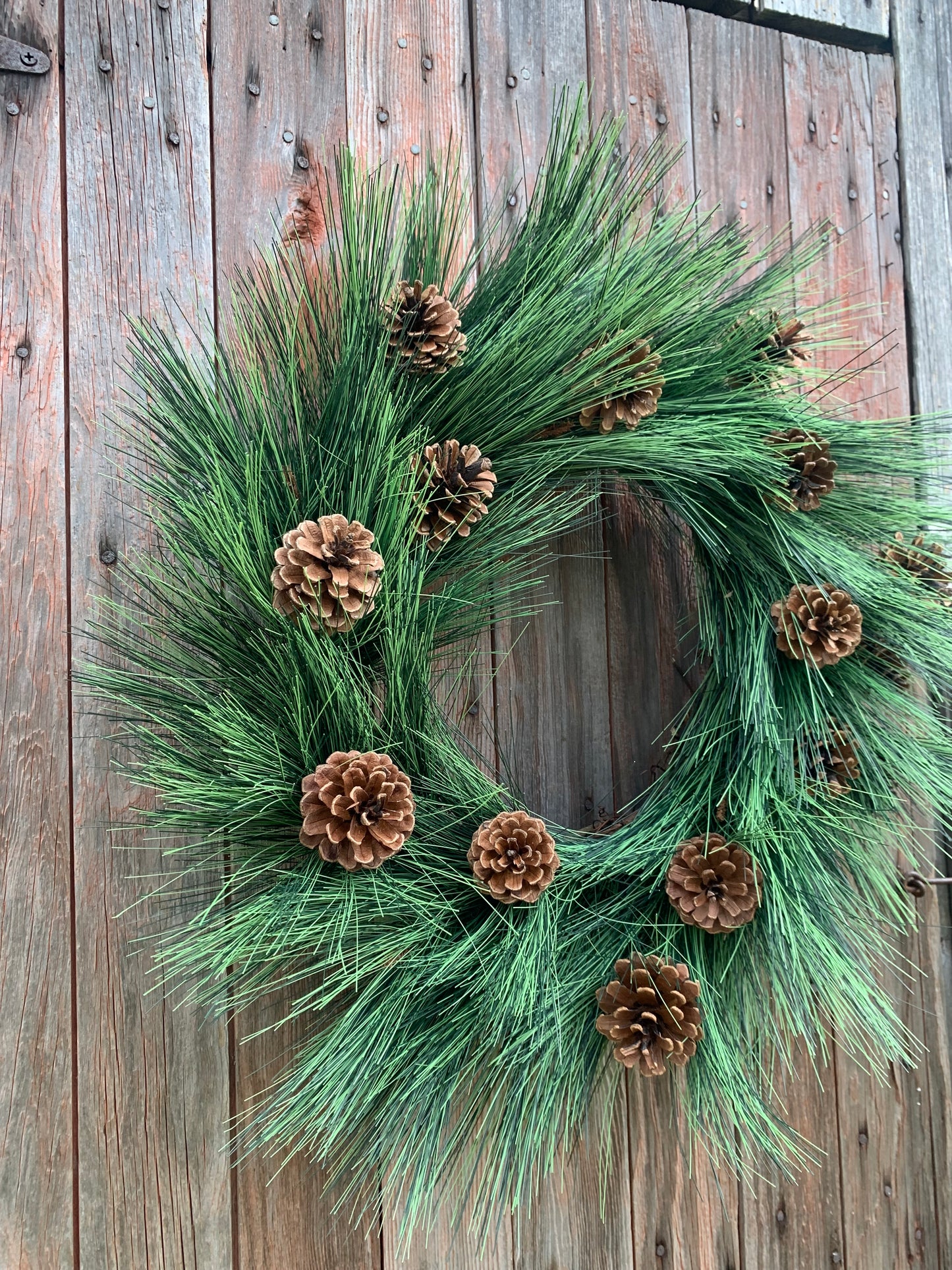 Rustic Long Needle Pine with Natural Pinecones