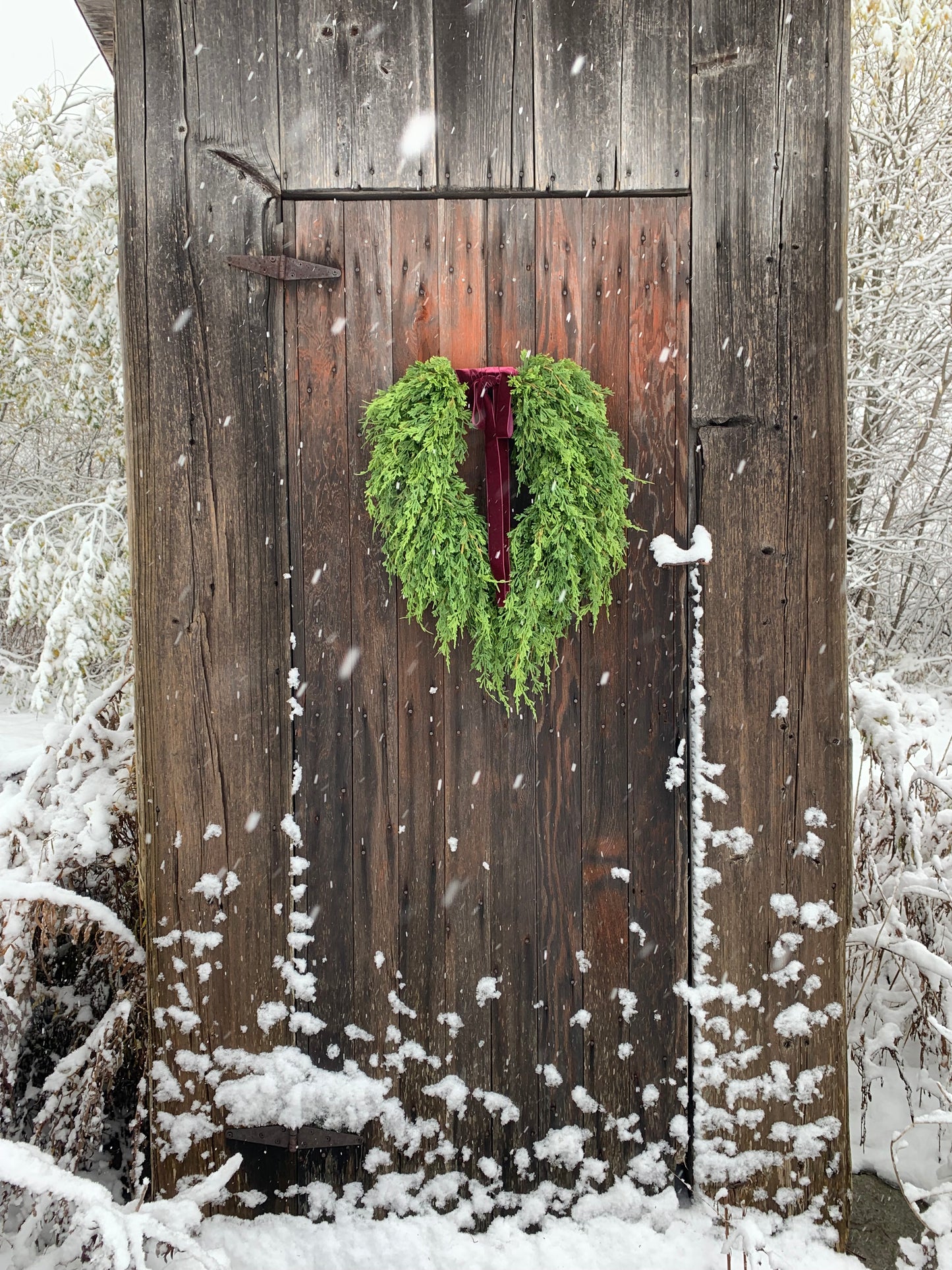 Soft Touch Cascading Cedar Winter Wreath
