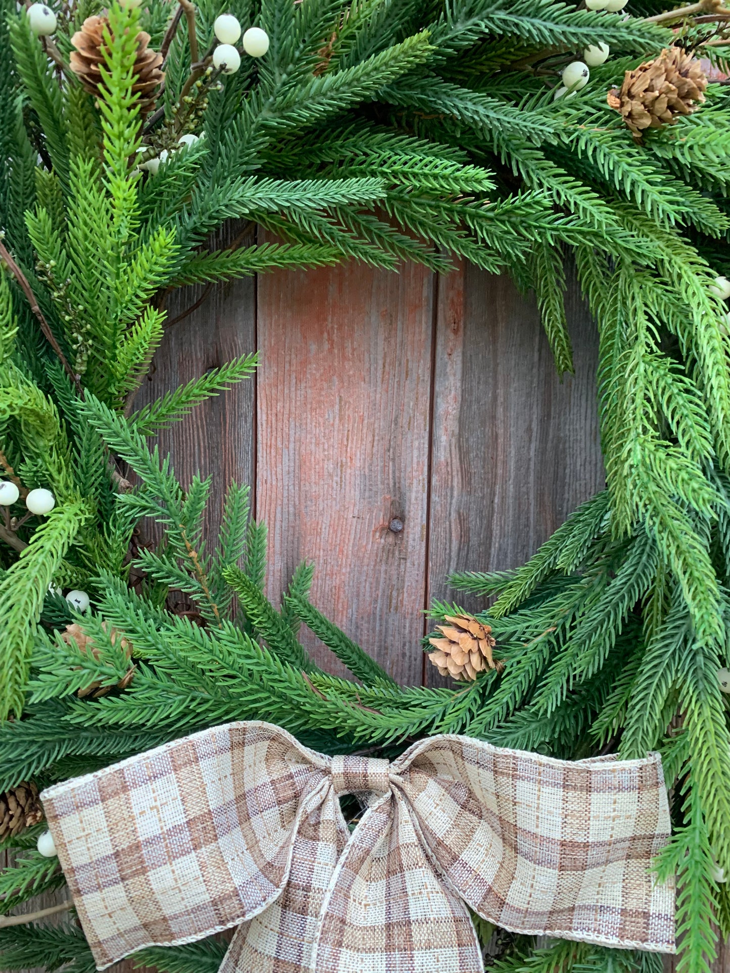 Rustic Norfolk Pine Winter Wreath