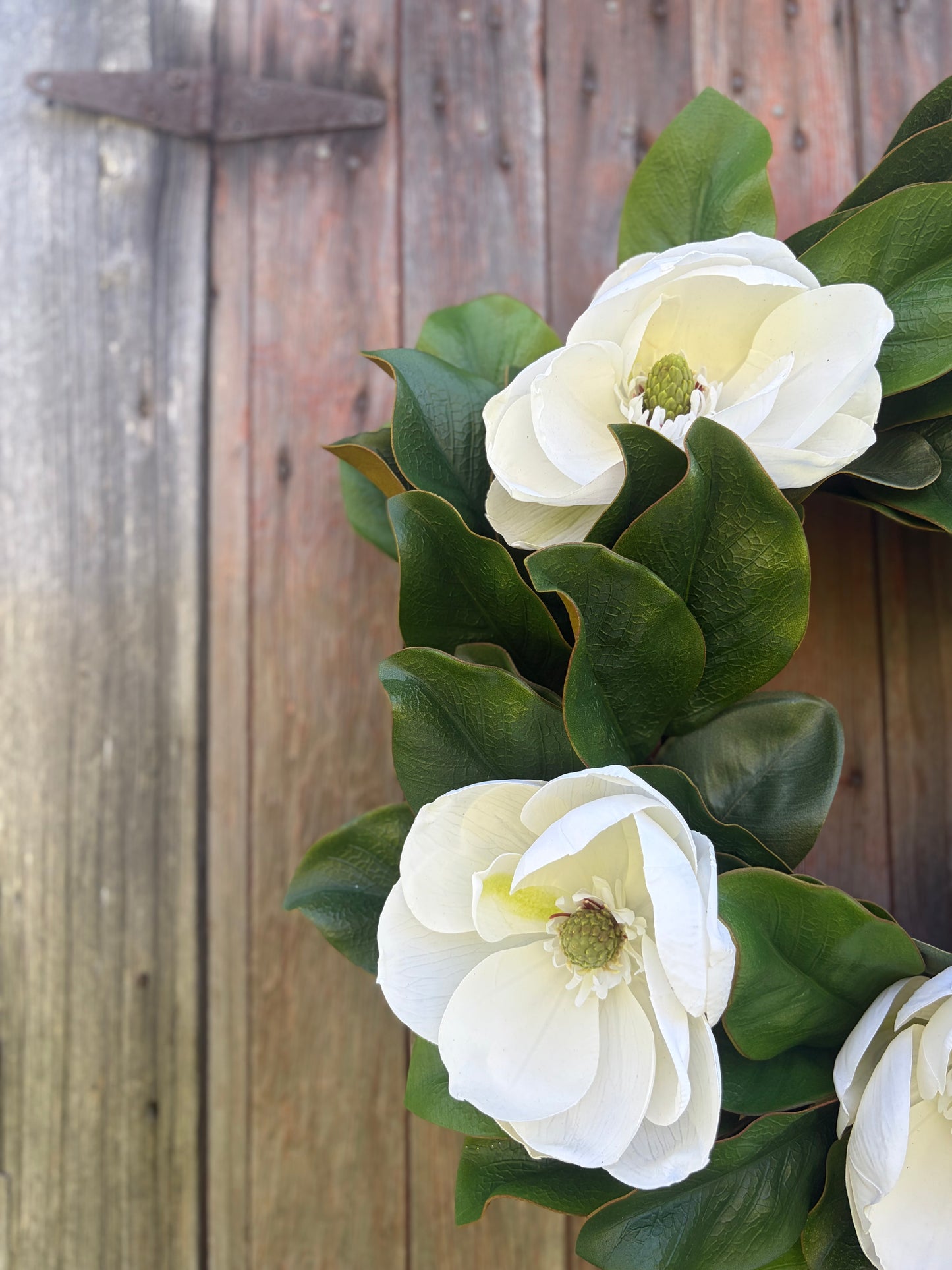The Garden in Full Bloom-Signature
