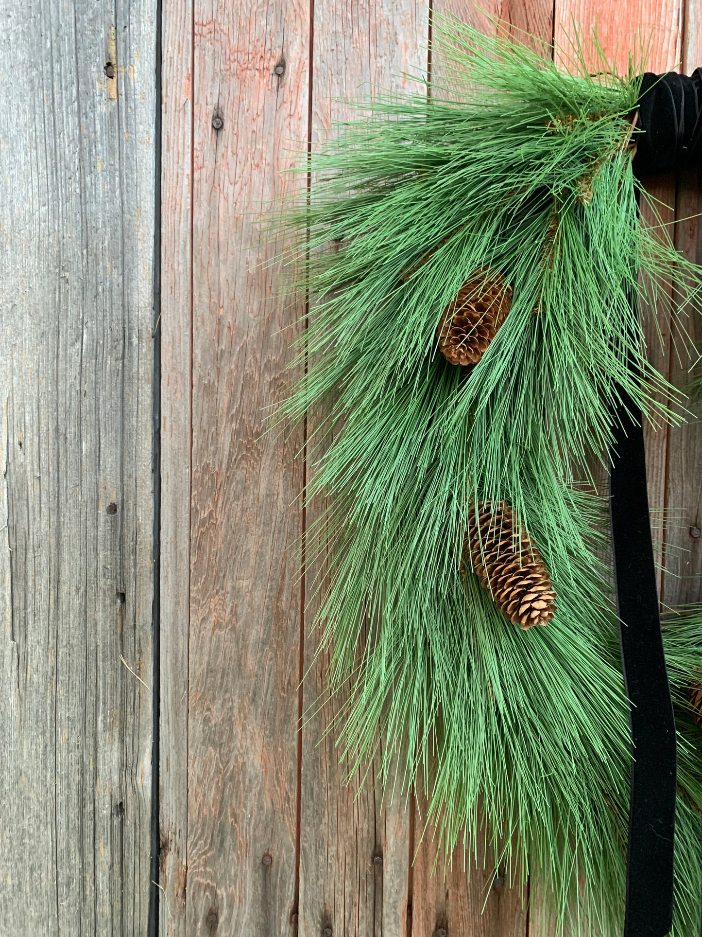 Long Needle Pine Winter Wreath