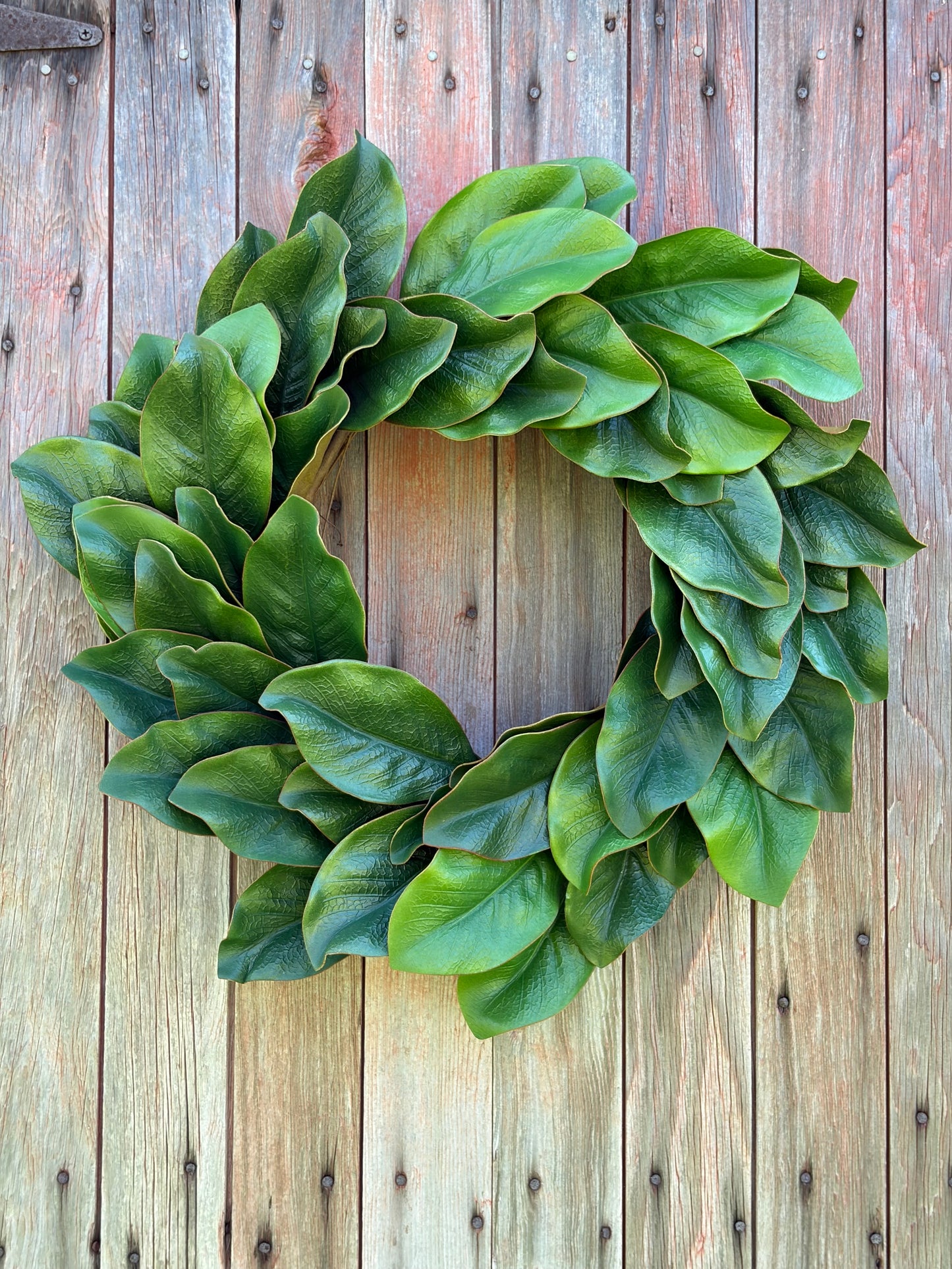 Southern Magnolia