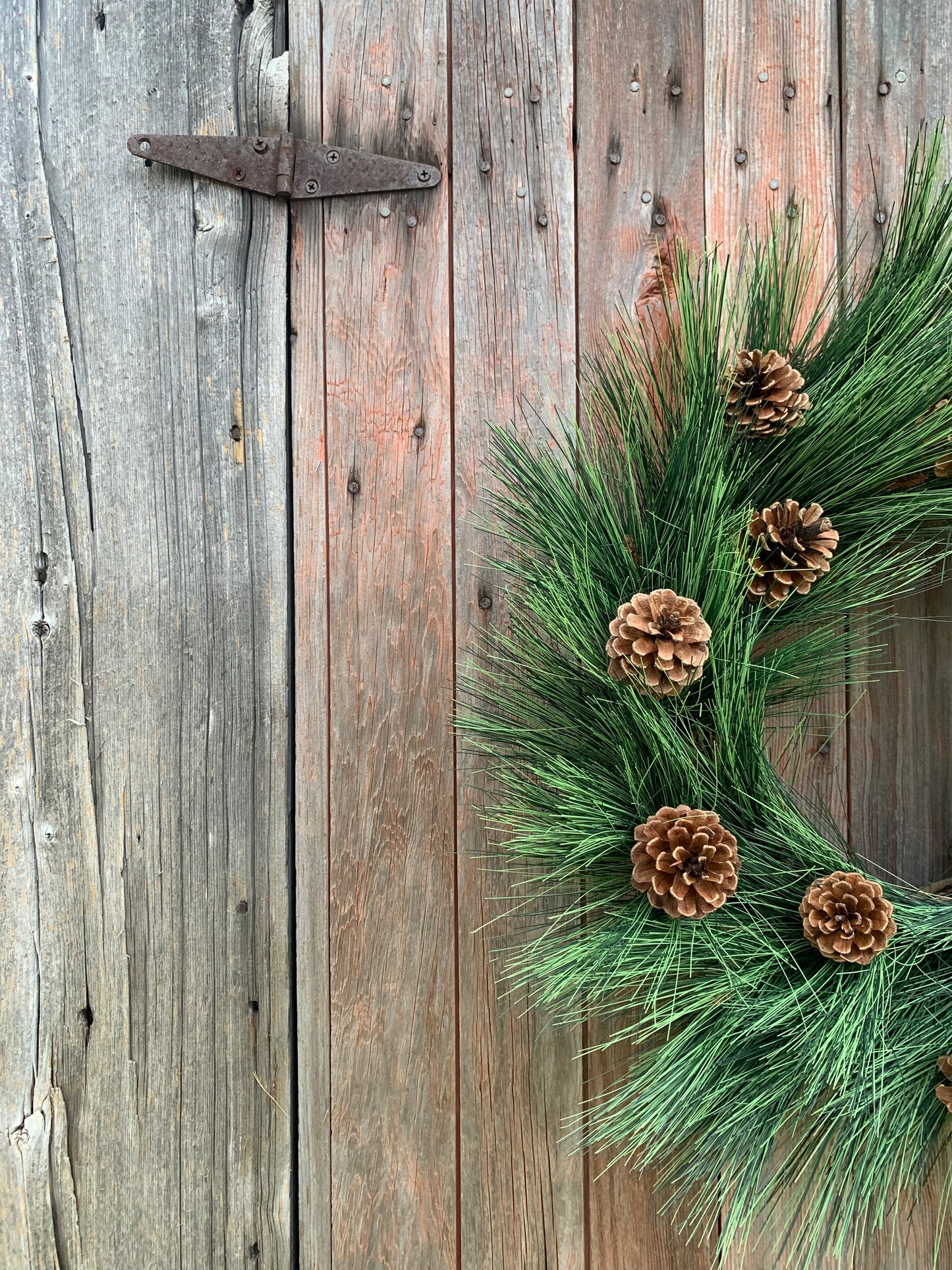 Rustic Long Needle Pine with Natural Pinecones