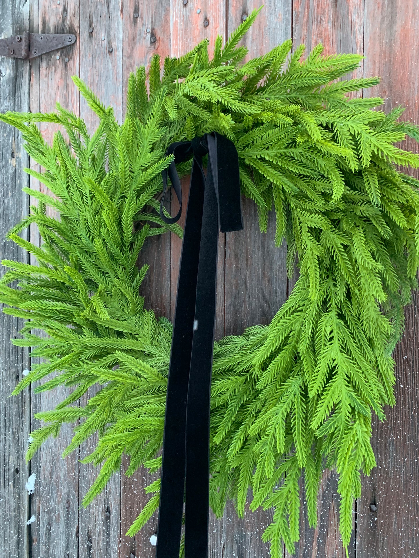 Simple Norfolk Pine Winter Wreath