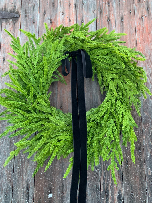 Simple Norfolk Pine Winter Wreath