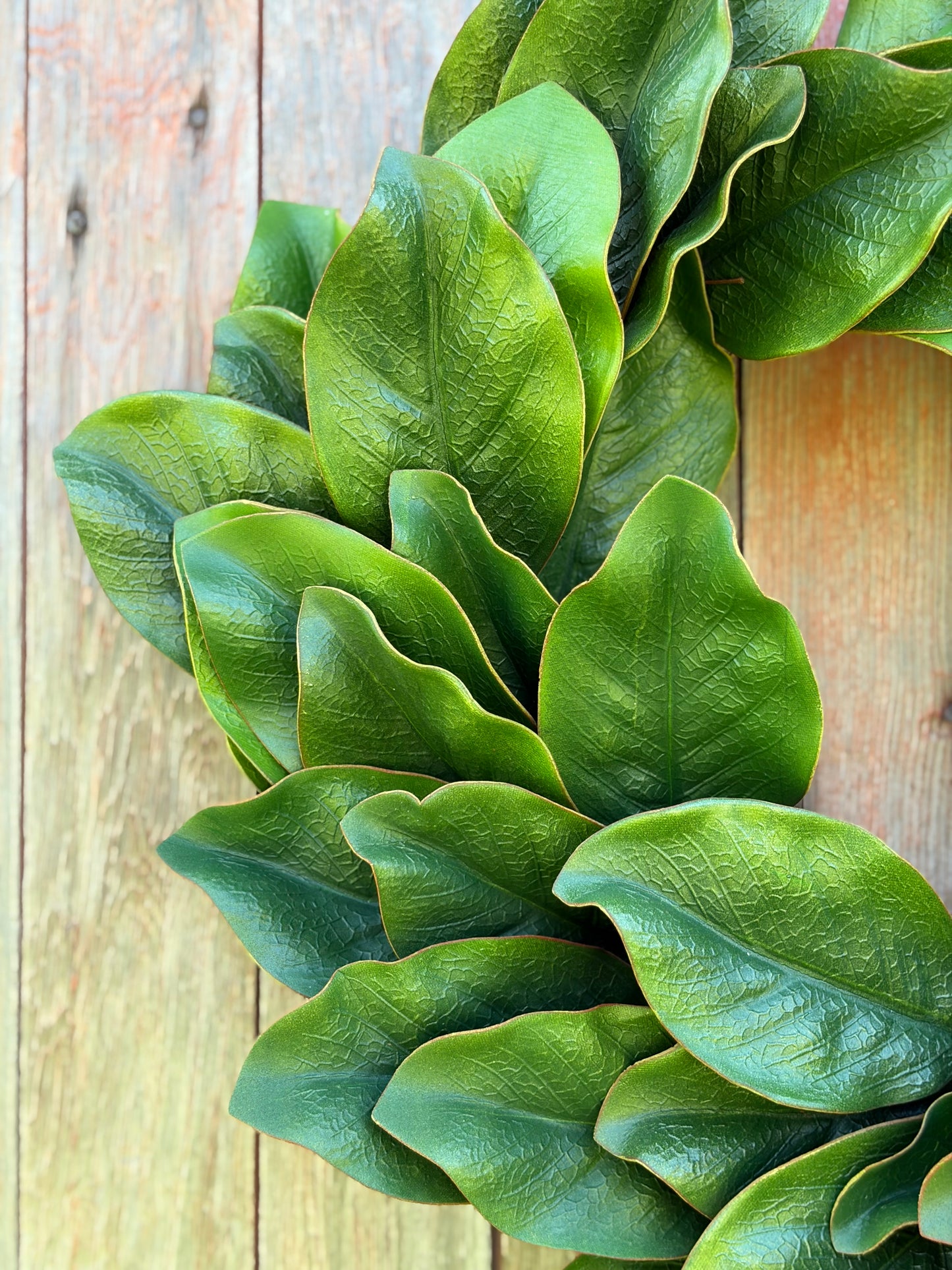 Southern Magnolia